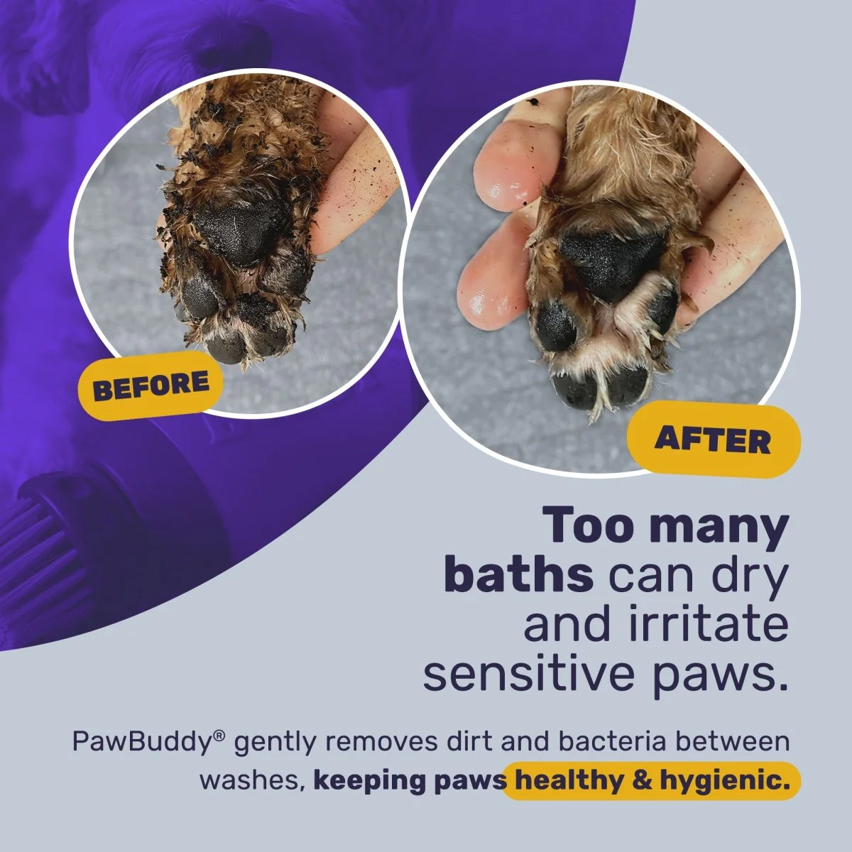 PawBuddy - Image 3
